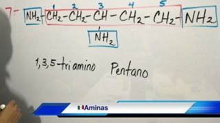 Aminas Nomenclatura Química Orgánica Parte 1 [upl. by Neirbo]