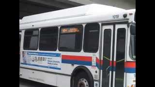 N54 bus at Amityville station [upl. by Felic]