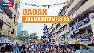 Janmashtami 2023 A Peek Inside DahiHandi Celebrations In Dadar [upl. by Esialb]