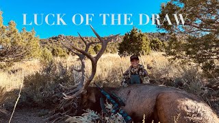 Luck Of The Draw  2023 LE Muzzleloader Elk [upl. by Amabil]