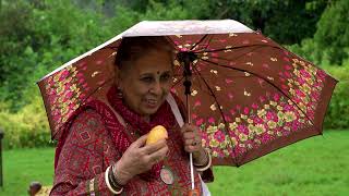 Aam ke Baagh Aur Hum  Exploring the Mango Orchards of Amroha [upl. by Bron]