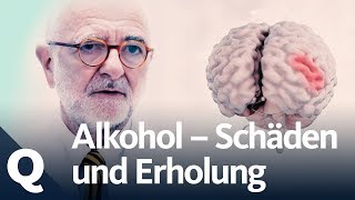 Wie gut kann sich der Körper vom Alkohol erholen  Quarks [upl. by Idaf25]