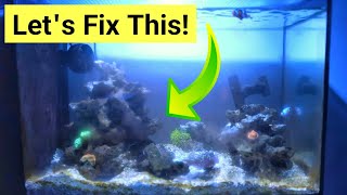 How To Fix Problems In A Saltwater Aquarium 5 Steps [upl. by Nohsauq]