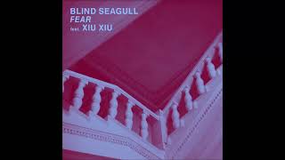 Blind Seagull feat Xiu Xiu  Fear Official Audio [upl. by Stone]