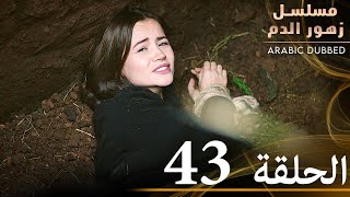 الحلقة 43  مسلسل زهور الدم  مدبلج بالعربية  Kan Çiçekleri [upl. by Derr]