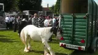 Horsmonden Horse Fair 2008 [upl. by Annmaria502]