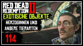 Exotische Objekte Herzoginnen und andere Tierarten ★ RED DEAD REDEMPTION 2 🐎 ★ 100  PART 114 [upl. by Idolla]