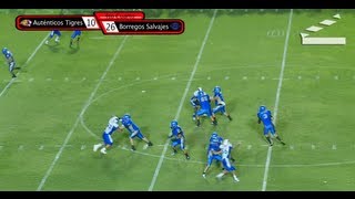 Highlights Scrimmage Autenticos Tigres UANL vs Borregos Tec MTY 16Ago2013 [upl. by Muriah655]