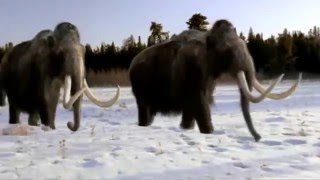 Ice Age Opening style Walking With Beasts [upl. by Gilbertina]