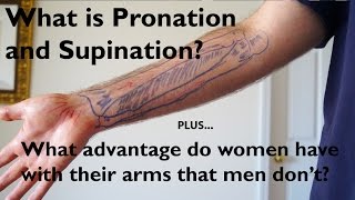 What is Pronation and Supination of the Forearm [upl. by Sherourd]