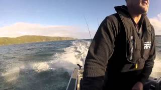 Wellington harbour  catching up with Fishingnet members [upl. by Ahsyen]