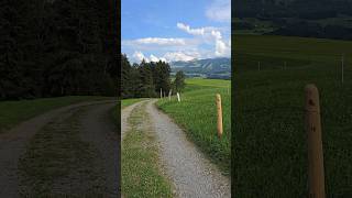 Wanderung wandern wandernmithund nature bergblick [upl. by Elehcim]