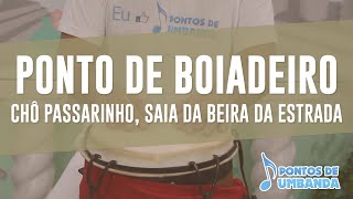 Ponto de Boiadeiro  Cho cho cho passarinho saia da beira da estrada [upl. by Ahsemaj]