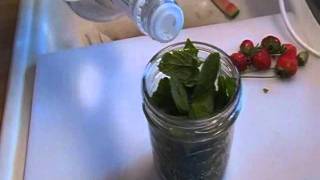 How to Make Mint Extract Noreens Kitchen [upl. by Surdna668]