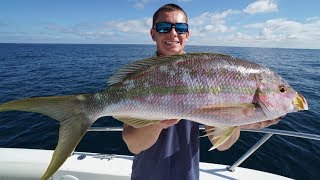 ABSOLUTE GIANT Trophy Yellowtail Snapper  Catch Clean Cook [upl. by Kalam]