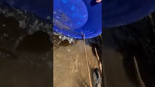 Gold Panning Arizona Lynx Creek goldpanning gold arizona mining [upl. by Posner]