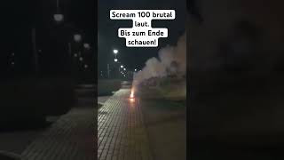 feuerwerk firework böller polenböller viral [upl. by Read72]