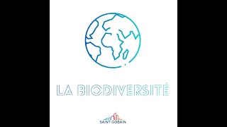 SaintGobain Biodiversité  vidéo VF [upl. by Ahsile]