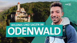 Odenwald Wandern und Entdecken zwischen Neckar und Bergstraße  Wunderschön  ARD Reisen [upl. by Jaclyn]