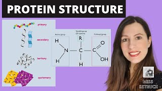 NUCLEIC ACIDS  DNA REPLICATION  AQA A LEVEL BIOLOGY  EXAM QUESTION RUN THROUGH [upl. by Reece]