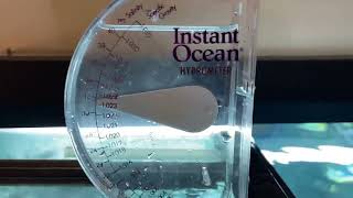 Best of the Year Salinity Is Key for Saltwater Aquariums amp THESE Are the Best Ways to Test for It [upl. by Skyler]