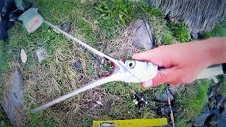 Multispecies saltwater lure fishingHalibut Needlefish Bass [upl. by Niad]