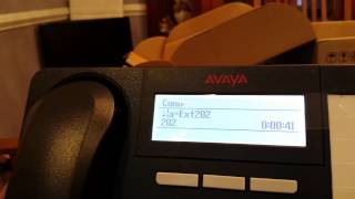 Page All on Avaya IP office phones [upl. by Akeret688]