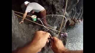 cave fishing in Sao Jorge azores [upl. by Briny91]