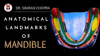 Anatomical Landmarks Of Mandible l Mandibular Landmarks l Prosthodontics [upl. by Blunk549]