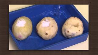 Potato experiment  Osmosis  Biology [upl. by Ricarda]