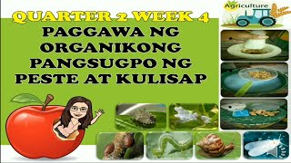 PAGGAWA NG ORGANIKONG PANGSUGPO NG PESTE AT KULISAP MELCBASED [upl. by Eibreh]