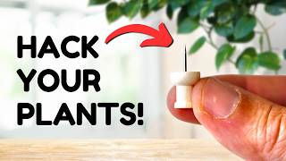 Top 10 Plant Hacks Everyone Should Know [upl. by Alrac]