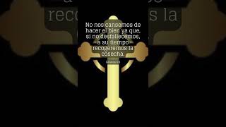 versiculodeldia fecristiana biblia fé cristo dios jesucristo citadeldiabiblica shorts 0728 [upl. by Bautista]