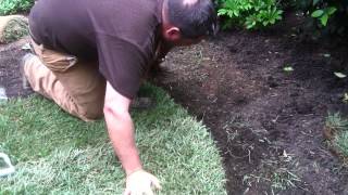 How To Properly Prepare For and Lay Sod [upl. by Seagraves]