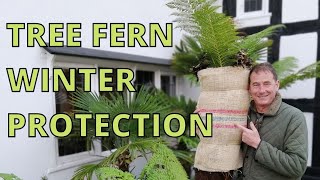 Tree Fern WINTER CARE [upl. by Nnaecarg454]