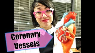 Coronary Vessels [upl. by Anitsirt]