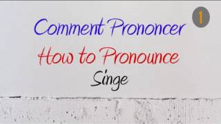 How to Pronounce – Comment Prononcer  Singe Monkey [upl. by Ellehsar]