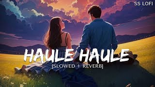 Haule Haule Slowed  Reverb  Shah Rukh Khan  Anushka Sharma  Sukhwinder Singh  SS Lofi [upl. by Nehpets]