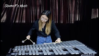 Harry Potter  theme song Vibraphone cover [upl. by Edy168]