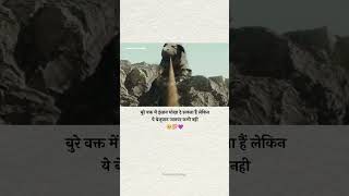 insano se achha animlsnew shorts viralvideo trending motivation elephant animalslove animals [upl. by Samale843]