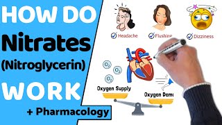 How Do Nitrates Work Nitroglycerin [upl. by Casi]