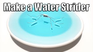 Make a Water Strider  STEM Activity [upl. by Hcir323]