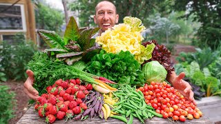 Unbelievable Backyard Garden Harvest This is What I Harvested Today [upl. by Dagney]