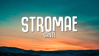 Stromae  Santé Paroles  Lyrics [upl. by Arhas]