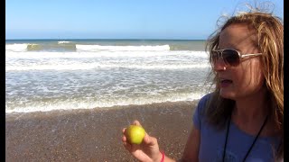 Longshore drift at Overstrand Teaching resource Geography [upl. by Korman]