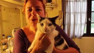 Recette Croquette chat ou friandise au Thermomix [upl. by Grosvenor]