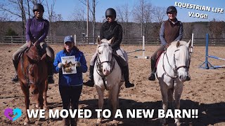 WE MOVED TO A NEW BARN  EQUESTRIAN VLOG LIFE [upl. by Zondra157]