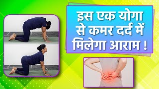 इस 1 योगा से कमर दर्द से राहत  Yoga For Back Pain Relief  वनइंडिया हिंदी [upl. by Landes]