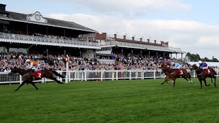 LETHAL LEVI wins the Ayr Gold Cup under Clifford Lee jockey [upl. by Atilek]