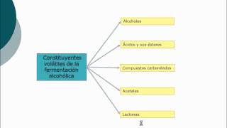 umh5431 201213 Lec020 Sustancias Aromáticas y otros Compuestos Volátiles 2ª Parte [upl. by Abagail817]